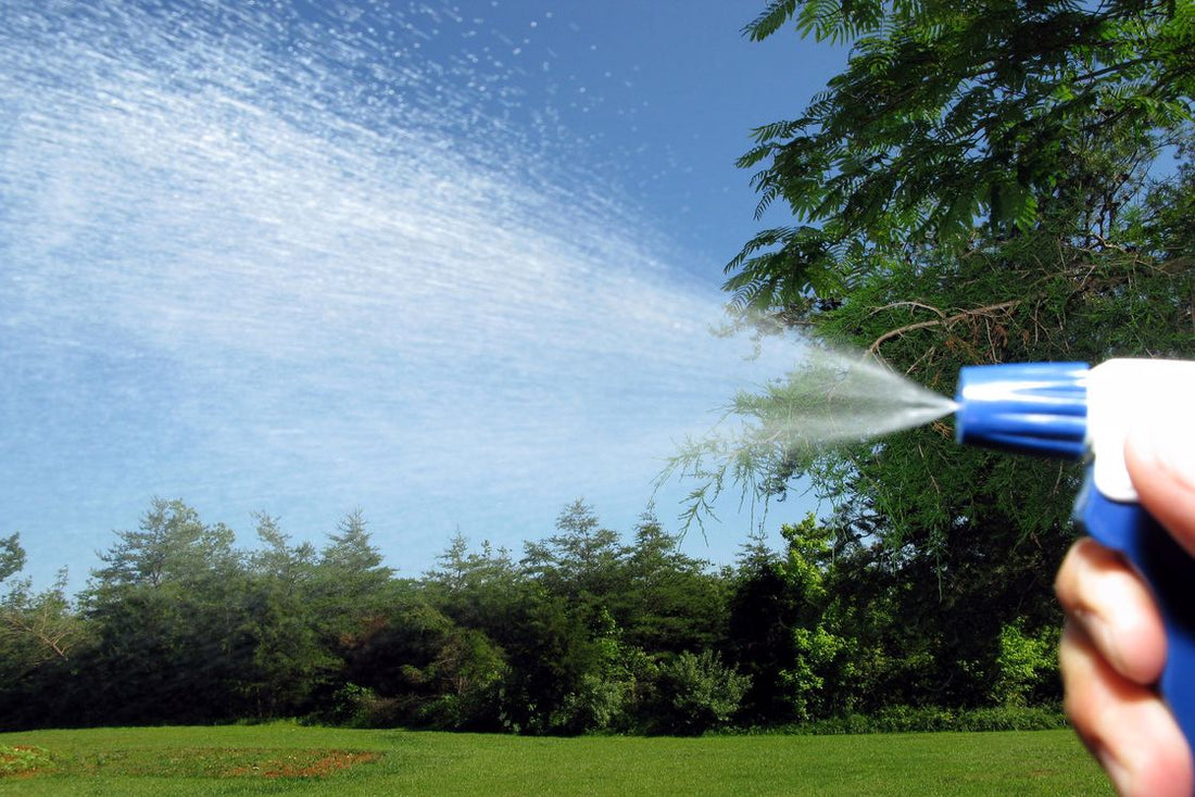 Person spraying pest chemicals outdoors